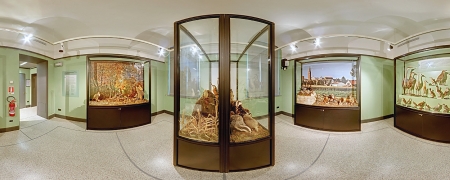 Cremona Museo Storia Naturale Territorio