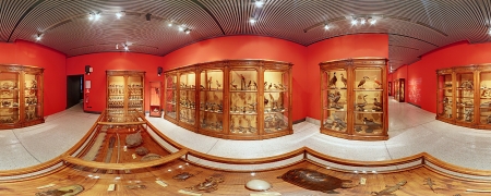 Cremona Museo Scienze Naturali Storica